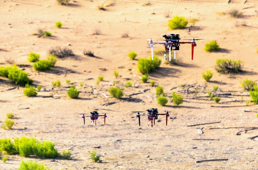 UAV Swarm for Desert Flight