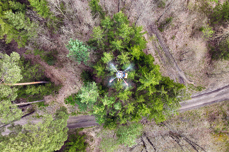 Drone flying above the forest with the multispectral camera