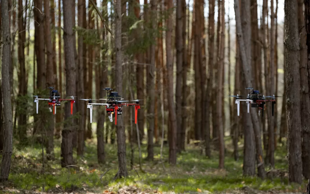 Autonomous Drones for Search and Rescue Missions